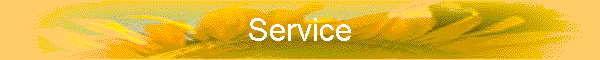 Service