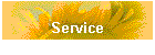 Service