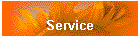 Service